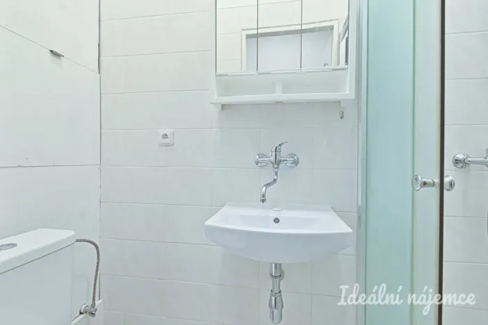 Pronájem bytu 1+1, Brno, Antonínská, 38 m2