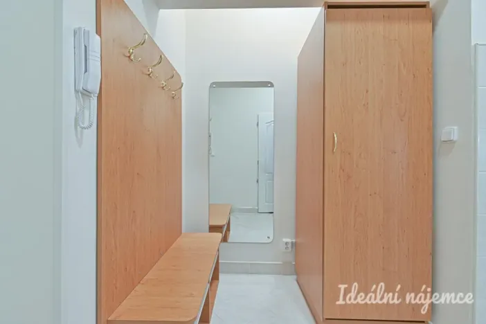 Pronájem bytu 1+1, Brno, Antonínská, 38 m2