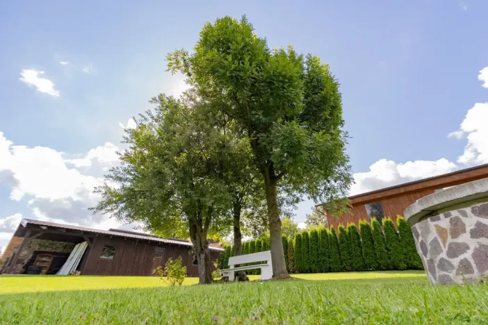 Prodej bytu 2+kk, Petrovice u Sušice - Jiřičná, 47 m2