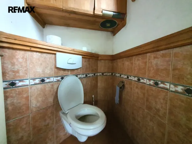 Prodej rodinného domu, Skočice, 289 m2