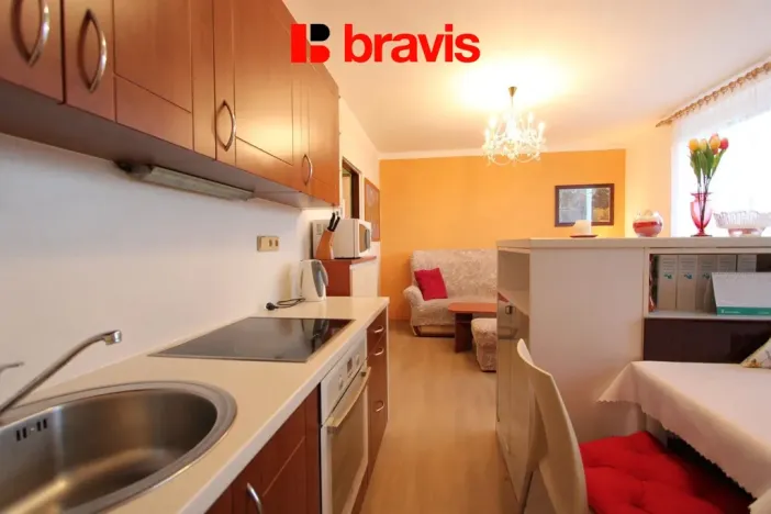 Pronájem bytu 1+kk, Neslovice, Školní, 31 m2