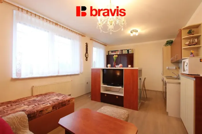 Pronájem bytu 1+kk, Neslovice, Školní, 31 m2