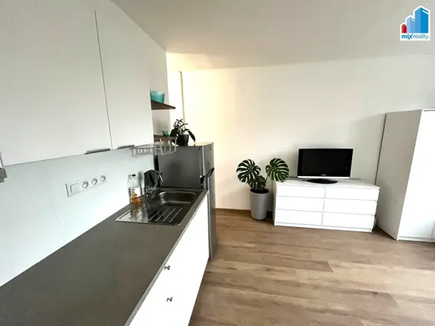 Pronájem bytu 1+kk, Plzeň - Lobzy, Částkova, 25 m2