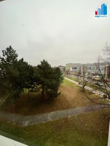 Pronájem bytu 1+kk, Plzeň - Lobzy, Částkova, 25 m2