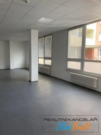 Pronájem obchodního prostoru, Přerov - Přerov I-Město, Šířava, 255 m2
