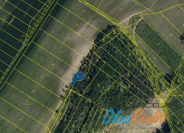 Prodej lesa, Dubňany, 442 m2