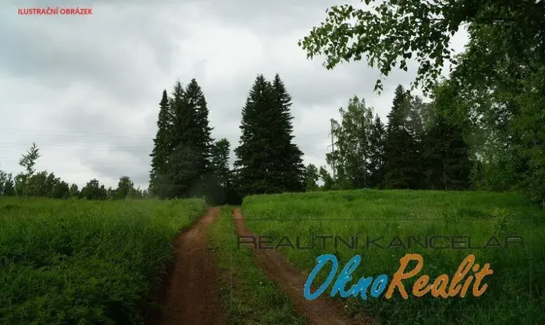 Prodej lesa, Dubňany, 442 m2