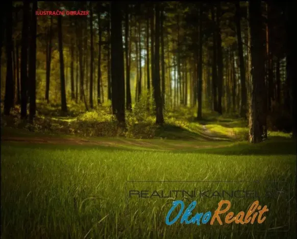 Prodej lesa, Dubňany, 442 m2