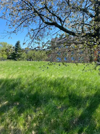 Prodej pozemku pro bydlení, Hamr na Jezeře, 1015 m2