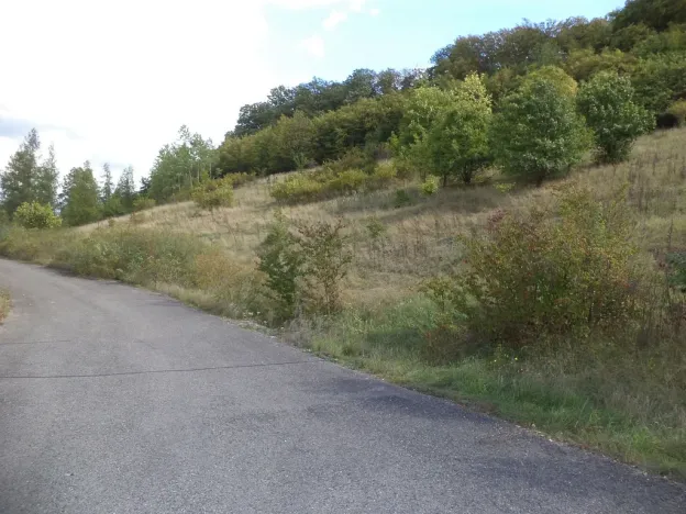 Prodej pole, Řehlovice - Stadice, 1038 m2