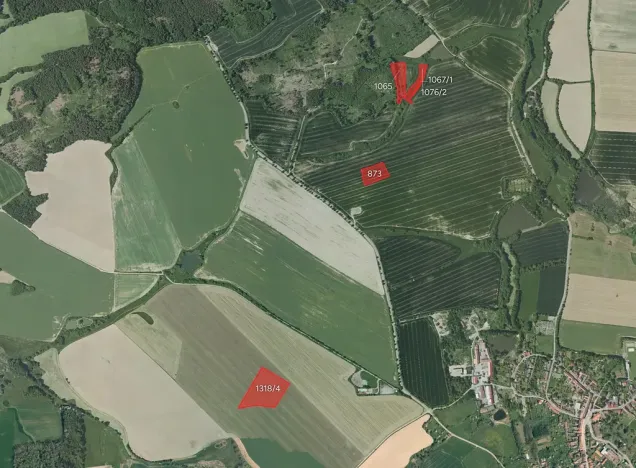 Prodej pole, Načeradec, 21681 m2