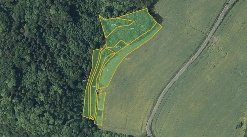 Prodej louky, Kostomlaty pod Milešovkou, 28333 m2