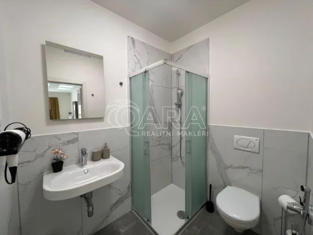 Pronájem bytu 1+kk, Praha, Plzeňská, 52 m2