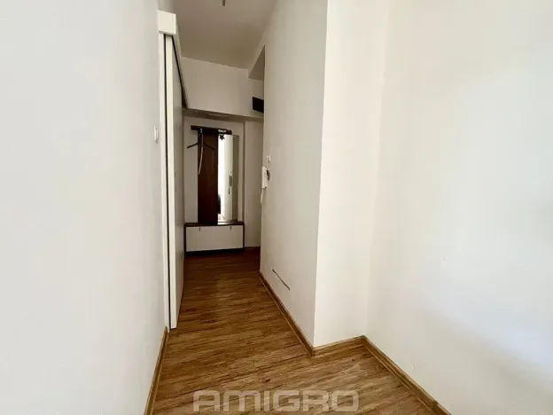 Pronájem bytu 1+kk, Brno, Podlesí, 39 m2