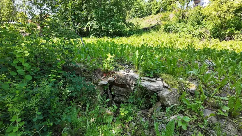 Prodej pozemku pro bydlení, Rokytnice v Orlických horách, 271 m2