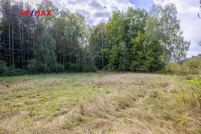 Prodej pozemku pro bydlení, Suchdol nad Lužnicí, 1001 m2