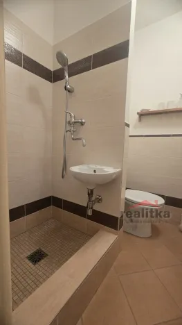 Pronájem bytu 1+kk, Opava - Kateřinky, Holasická, 21 m2