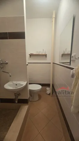 Pronájem bytu 1+kk, Opava - Kateřinky, Holasická, 21 m2