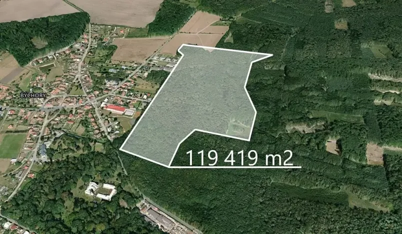 Prodej podílu lesa, Býchory, 11195 m2
