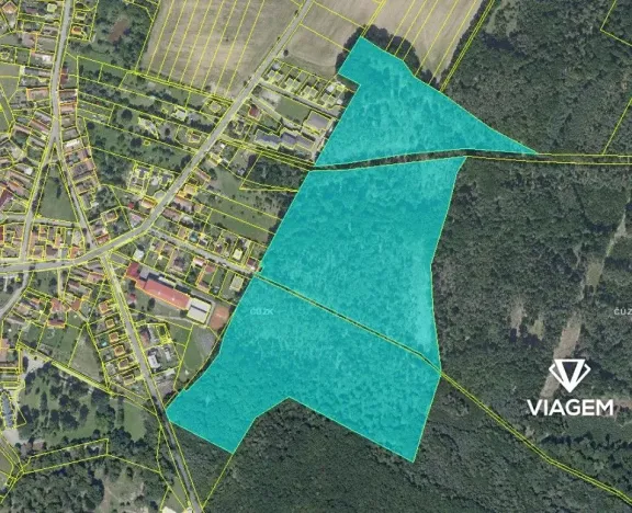 Prodej podílu lesa, Býchory, 11195 m2