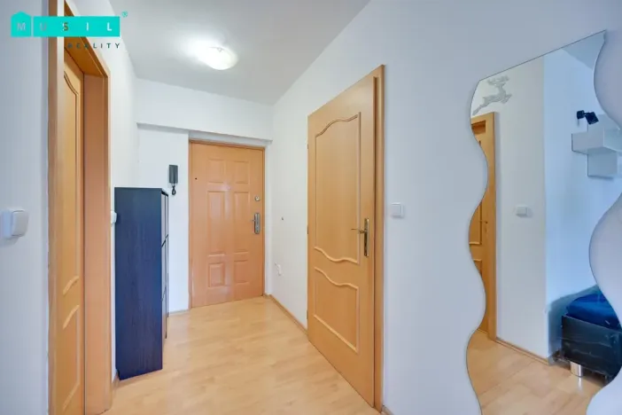 Pronájem bytu 1+kk, Olomouc - Povel, Slavonínská, 38 m2