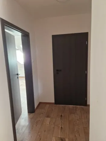 Prodej bytu 3+kk, Děčín - Děčín IV-Podmokly, Ruská, 65 m2