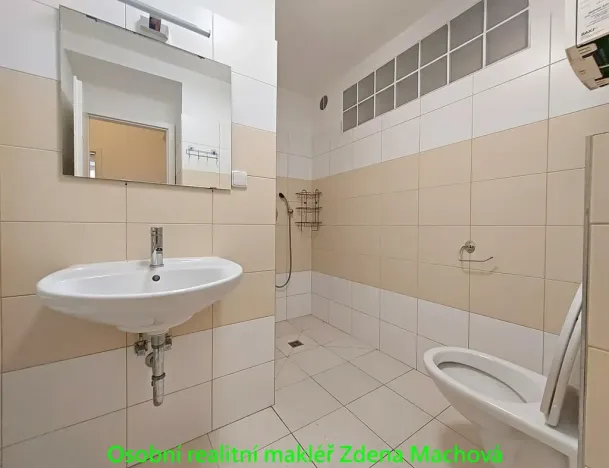 Prodej bytu 2+kk, Praha - Žižkov, Domažlická, 52 m2