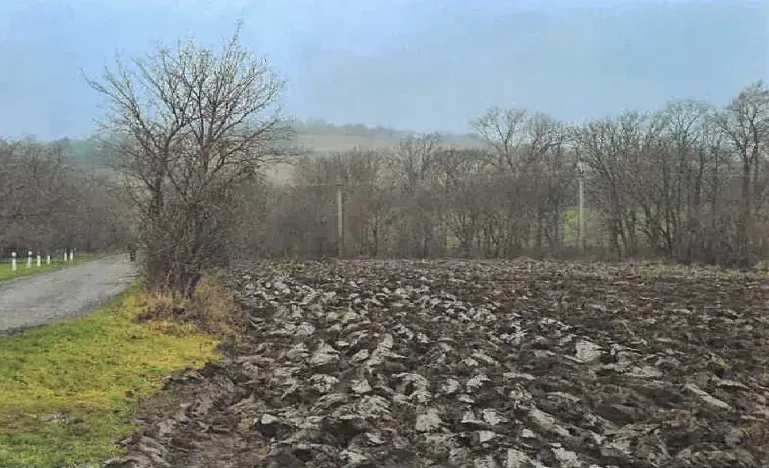 Dražba komerčního pozemku, Radějov, 3231 m2