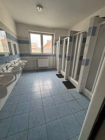 Dražba výrobních prostor, Chrast, Osady Ležáků, 4782 m2