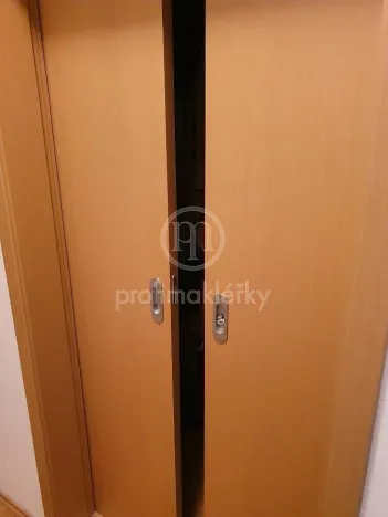 Pronájem bytu 2+kk, Brno, Leitnerova, 65 m2