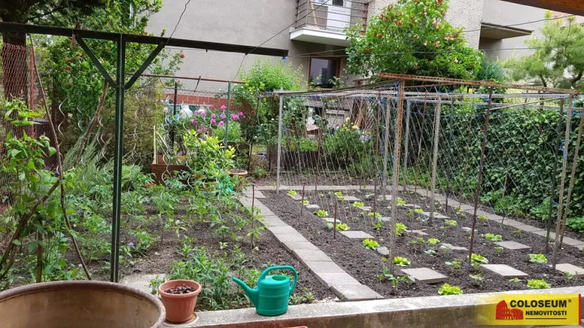 Pronájem bytu 2+1, Brno - Černá Pole, 41 m2