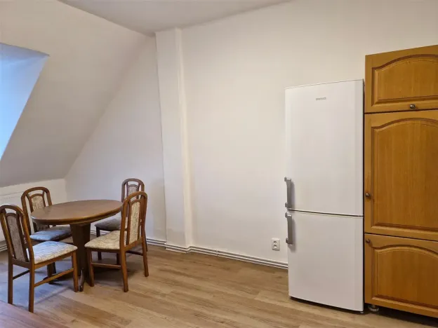 Pronájem bytu 1+1, Děčín - Děčín IV-Podmokly, Raisova, 44 m2