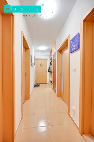 Pronájem bytu 4+kk, Olomouc - Nové Sady, Rokycanova, 112 m2