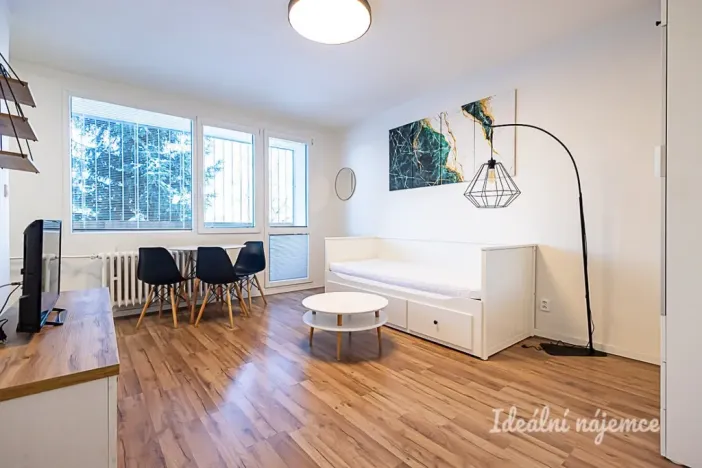 Pronájem bytu 1+kk, Praha - Michle, Mezipolí, 29 m2