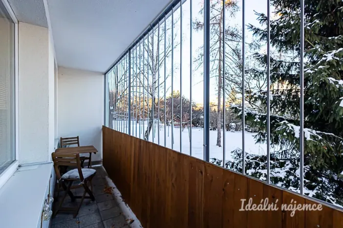 Pronájem bytu 1+kk, Praha - Michle, Mezipolí, 29 m2