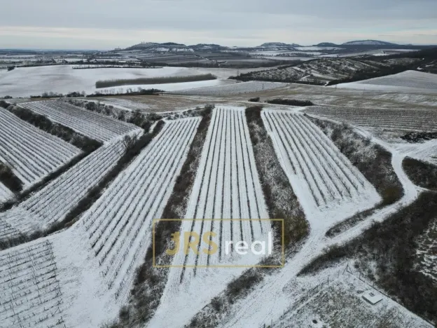 Prodej pozemku, Sedlec, 6224 m2