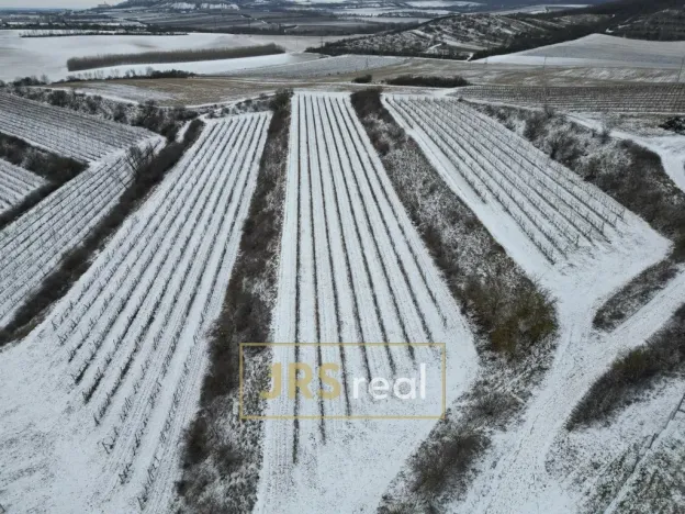 Prodej pozemku, Sedlec, 6224 m2