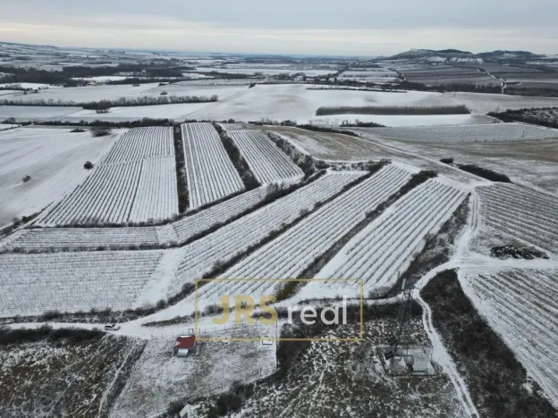 Prodej pozemku, Sedlec, 6224 m2