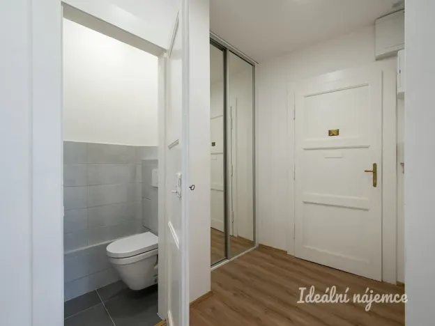 Pronájem bytu 2+kk, Praha - Žižkov, Basilejské náměstí, 49 m2