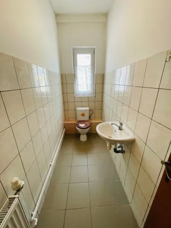 Pronájem rodinného domu, Cheb, Evropská, 450 m2