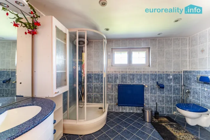 Pronájem rodinného domu, Aš, Březová, 210 m2