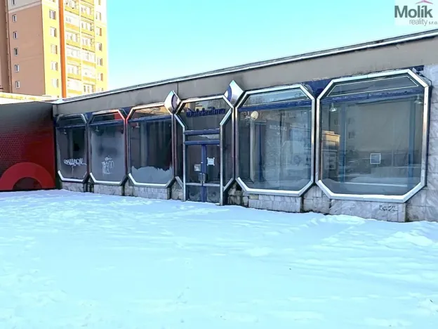 Pronájem obchodního prostoru, Příbram - Příbram VII, Bož. Němcové, 240 m2