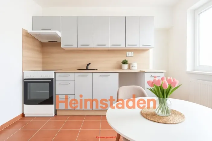 Pronájem bytu 1+1, Havířov - Prostřední Suchá, Hornická, 33 m2