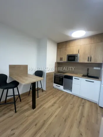 Pronájem bytu 1+kk, České Budějovice, Dobrovodská, 32 m2