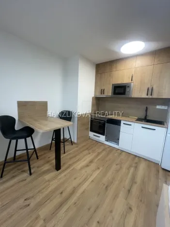 Pronájem bytu 1+kk, České Budějovice, Dobrovodská, 32 m2