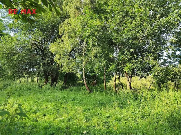 Prodej pozemku pro bydlení, Malá Morava, 1169 m2