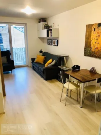 Pronájem bytu 2+kk, Brno, Staňkova, 41 m2