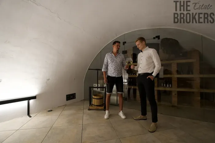 Prodej ubytování, Mikulov, Koněvova, 579 m2