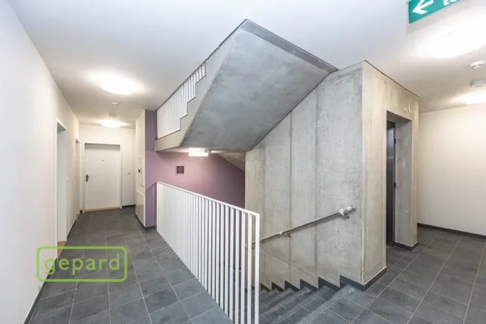 Pronájem bytu 1+kk, Hostivice, Cihlářská, 30 m2