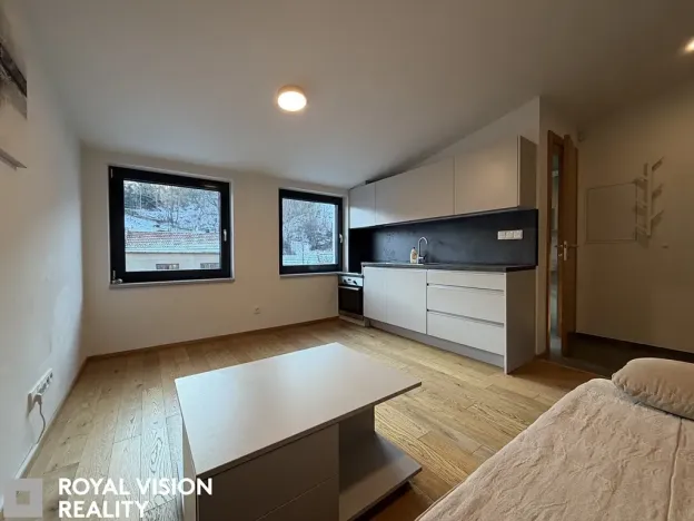 Pronájem bytu 1+kk, Brno, Ondráčkova, 19 m2